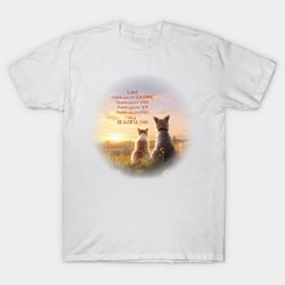 It's a Beautiful Day T-Shirt